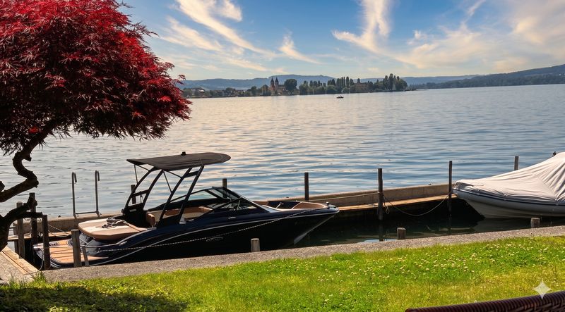 Lakeside Living Allensbach - Wohnung mit Seezugang und Option für Boots-Liegeplatz